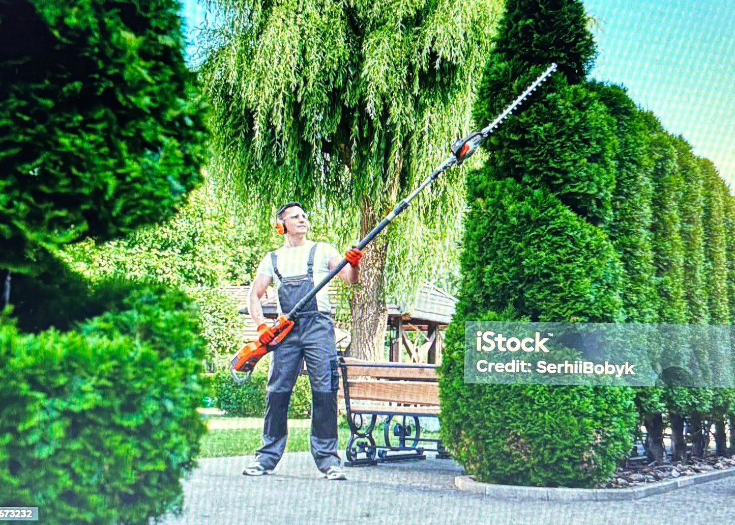 trimming bushes