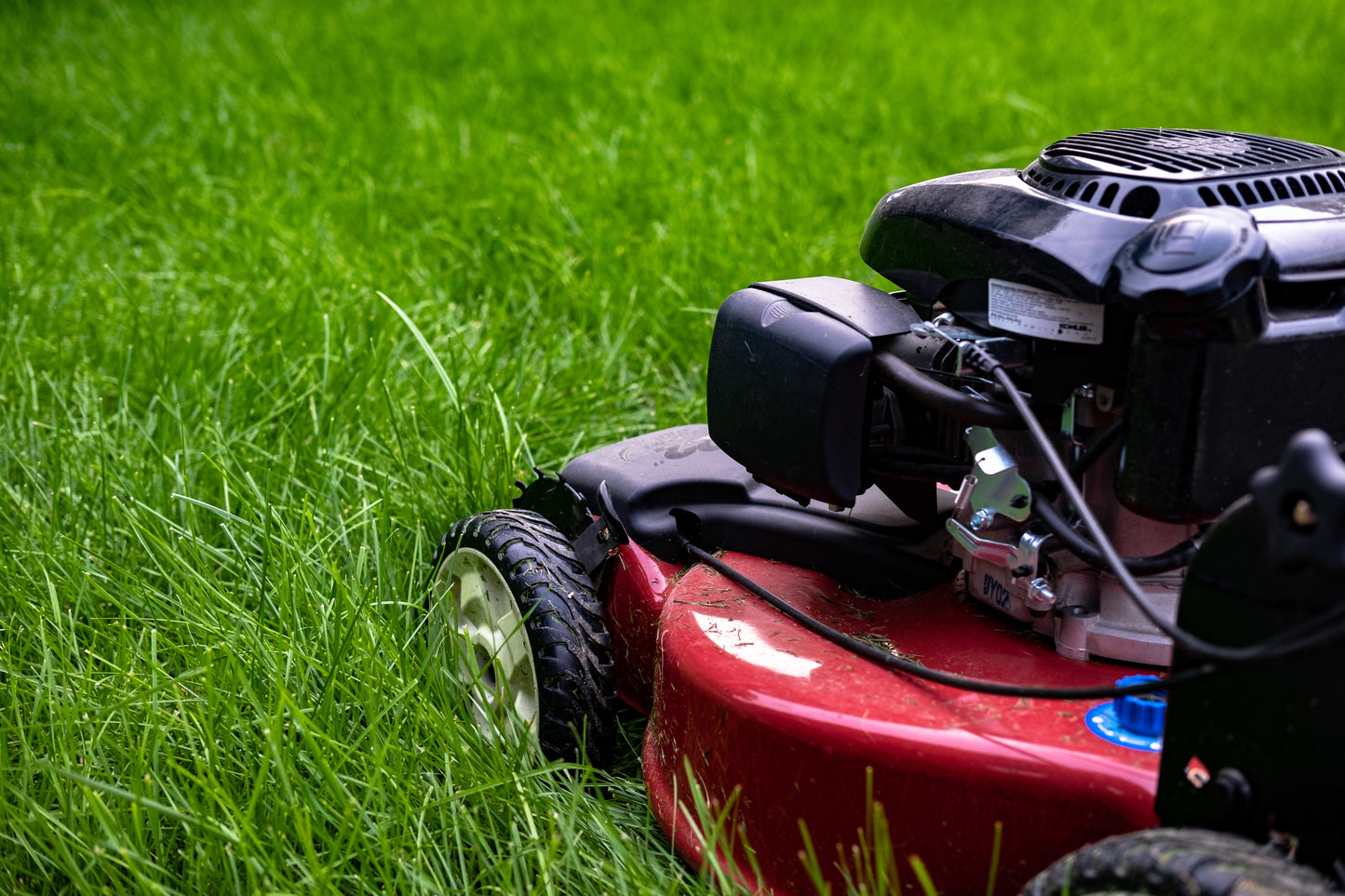 basic lawn mowing only